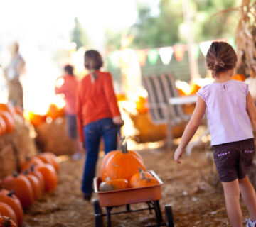 aba therapy atlanta georgia. kids club aba. autism friendly fall festivals in atlanta